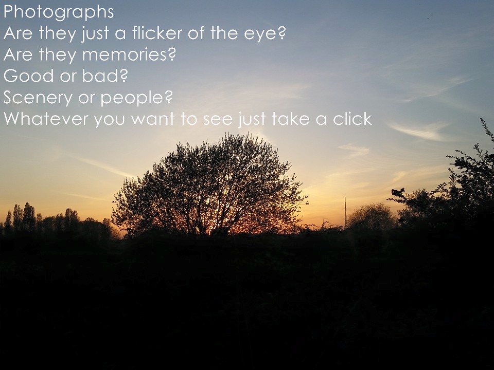 Laugh, Learn, and Connect with QuotePoem 38 Laugh, Learn, and Connect with QuotePoem 38